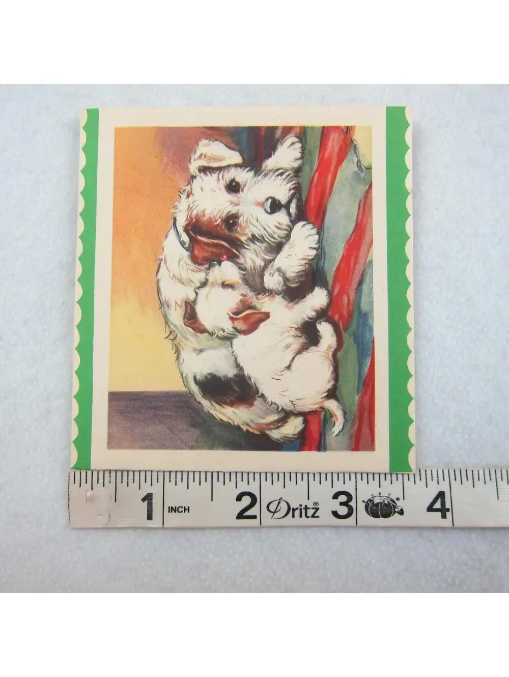 Vintage Schnauzer Terrier Dog Mother Puppy Animals Pets Affection Card Art Print